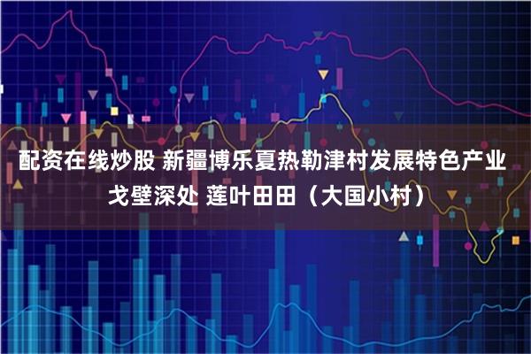 配资在线炒股 新疆博乐夏热勒津村发展特色产业 戈壁深处 莲叶田田（大国小村）